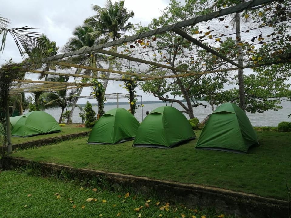 Garden, Lake view