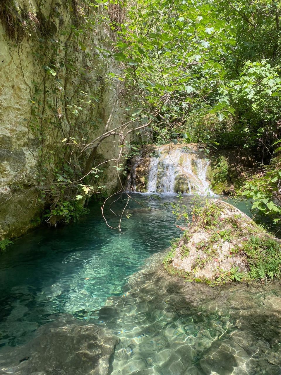 Natural landscape, River view