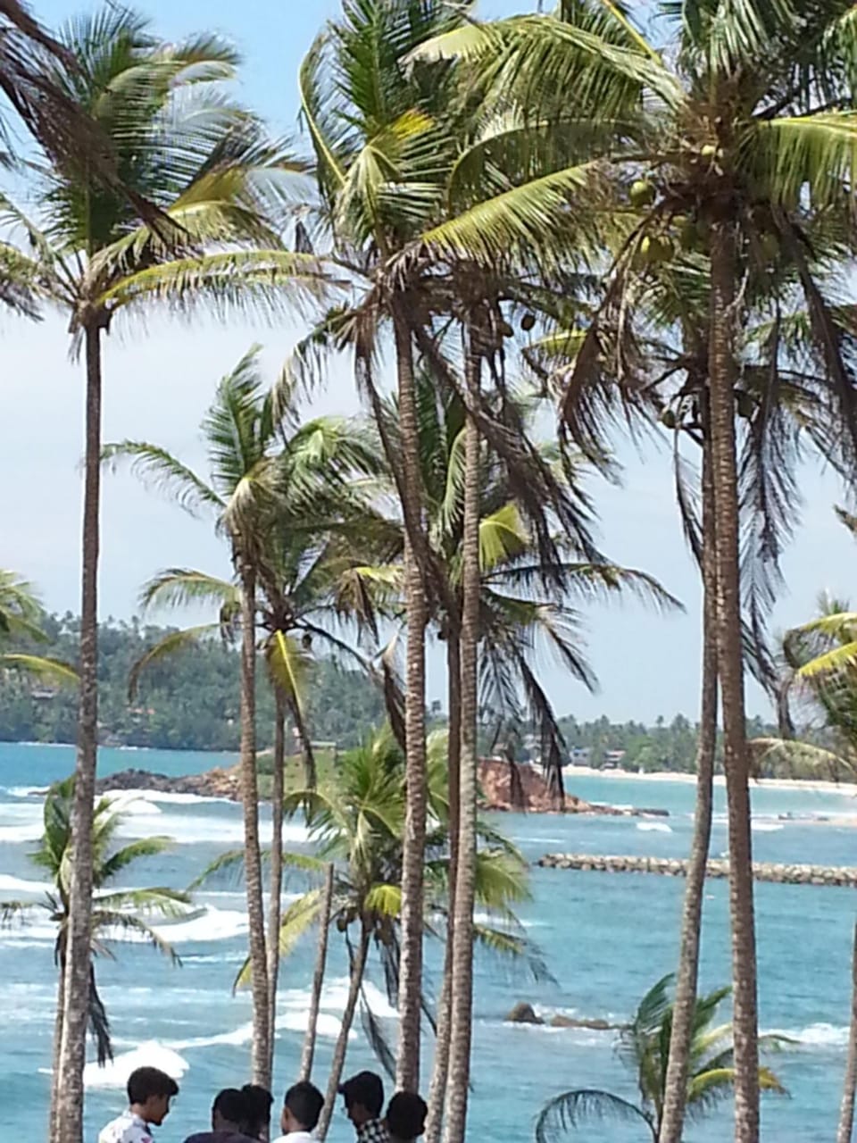 Methusha Holiday House Bed and Breakfast in Mirissa