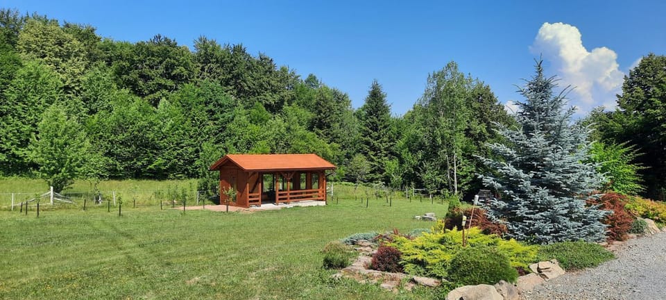 Csendes Bükk Kulcsosház House in Romania