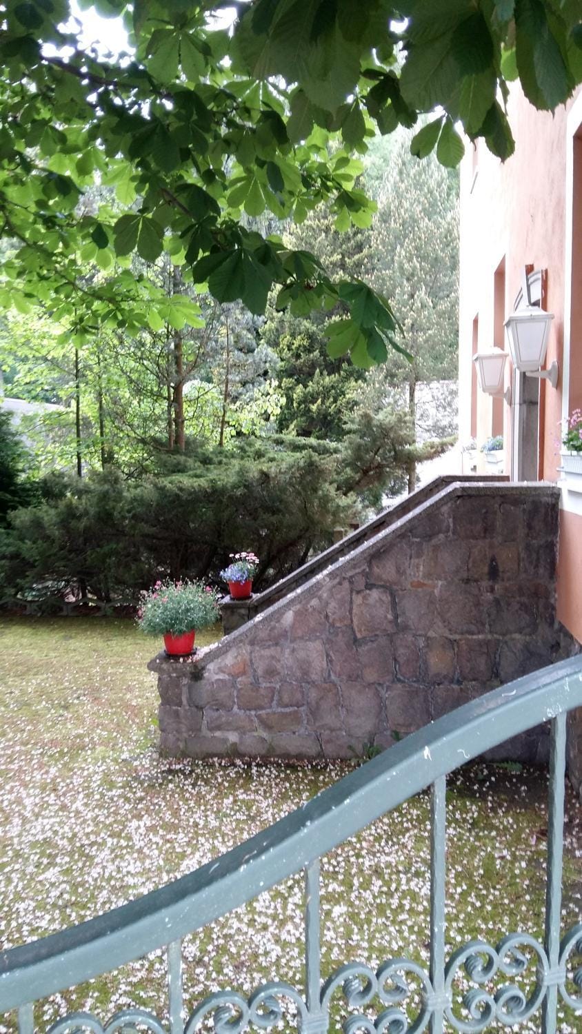 Property building, Balcony/Terrace