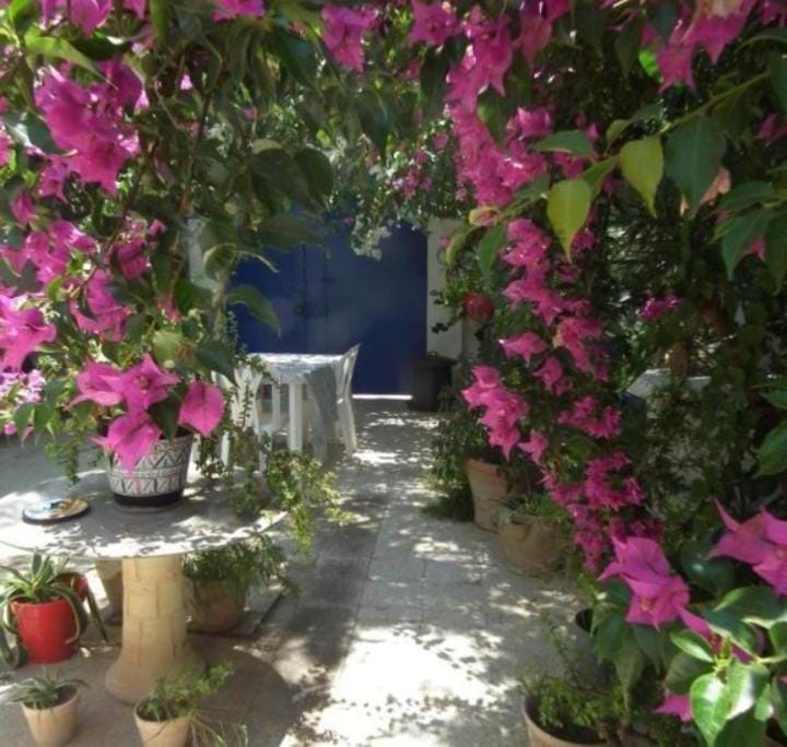 The 18, Marsa Guest House Bed and Breakfast in Tunis Governorate, Tunisia