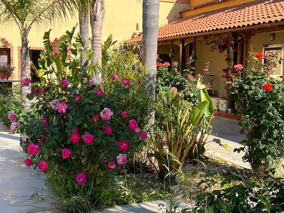 Oasi Le Fontanelle Farm Stay in Province of Foggia