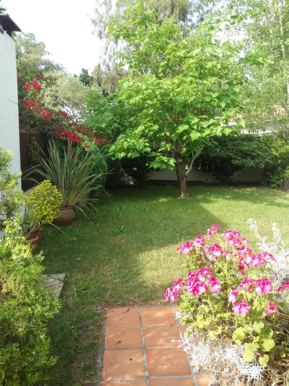 Garden, Garden view