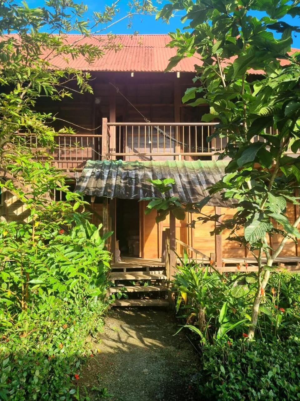 Garden view