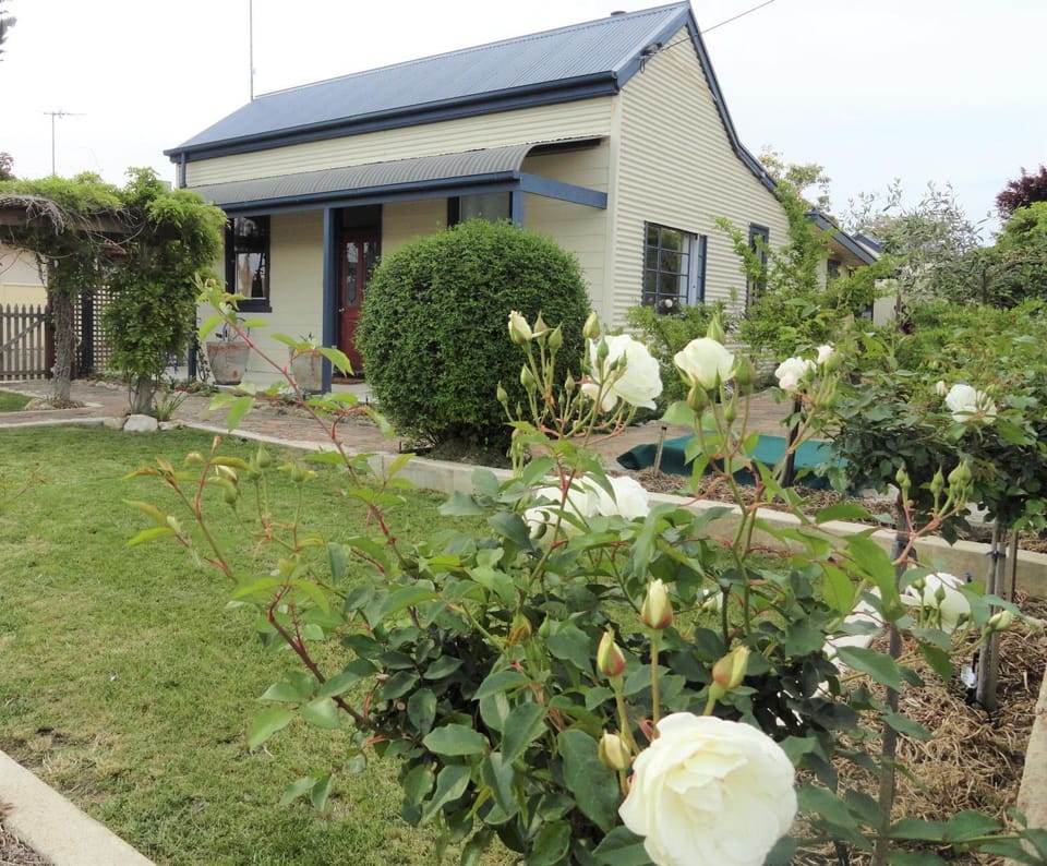 Facade/entrance, Garden