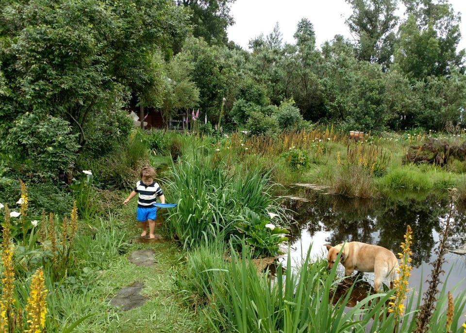 Garden, Pets, Family