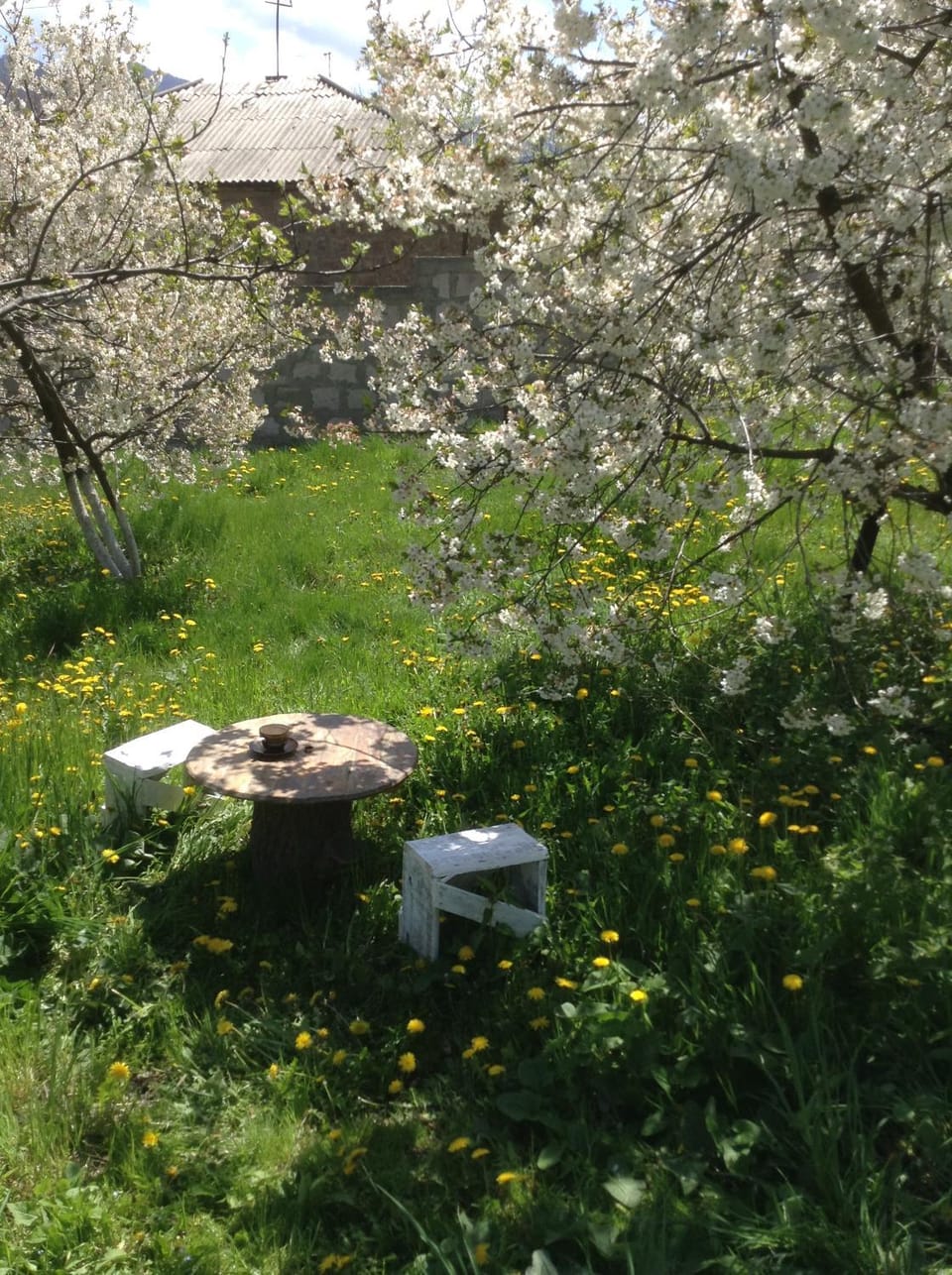 Spring, Day, Natural landscape, Garden, Garden view