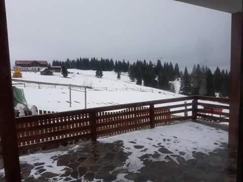 Pensiunea Daniela Bed and Breakfast in Romania
