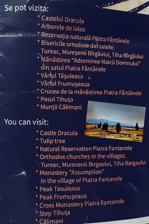 Pensiunea Daniela Bed and Breakfast in Romania
