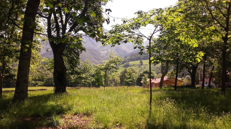 Property building, Facade/entrance, Natural landscape, Garden, View (from property/room), Other, Hiking, Animals, Pets