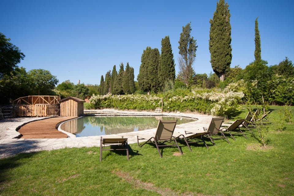 Garden, Area and facilities, Swimming pool, Swimming pool