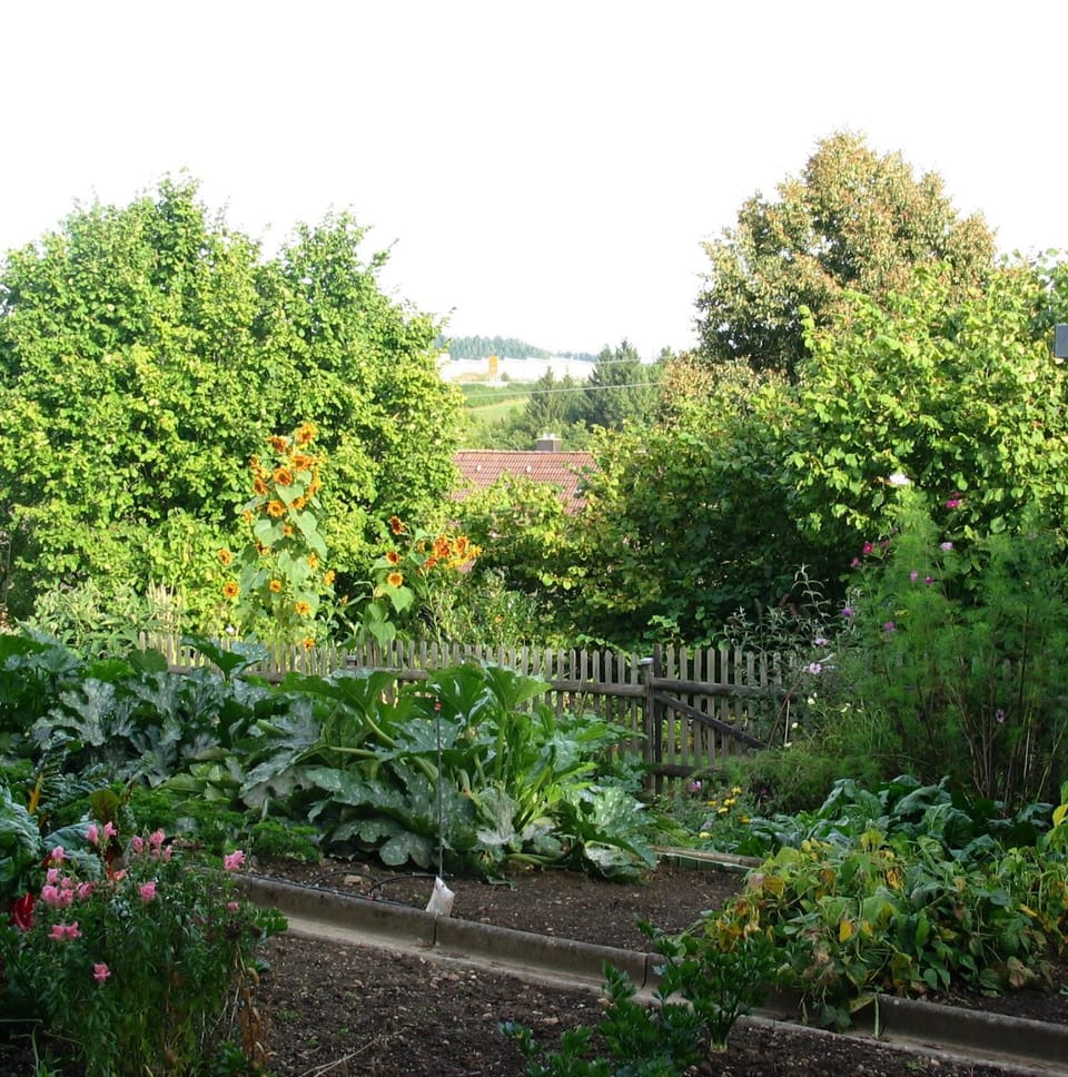 Garden view