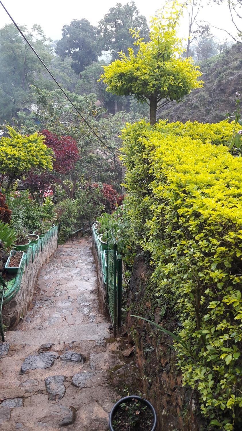 Natural landscape, Garden