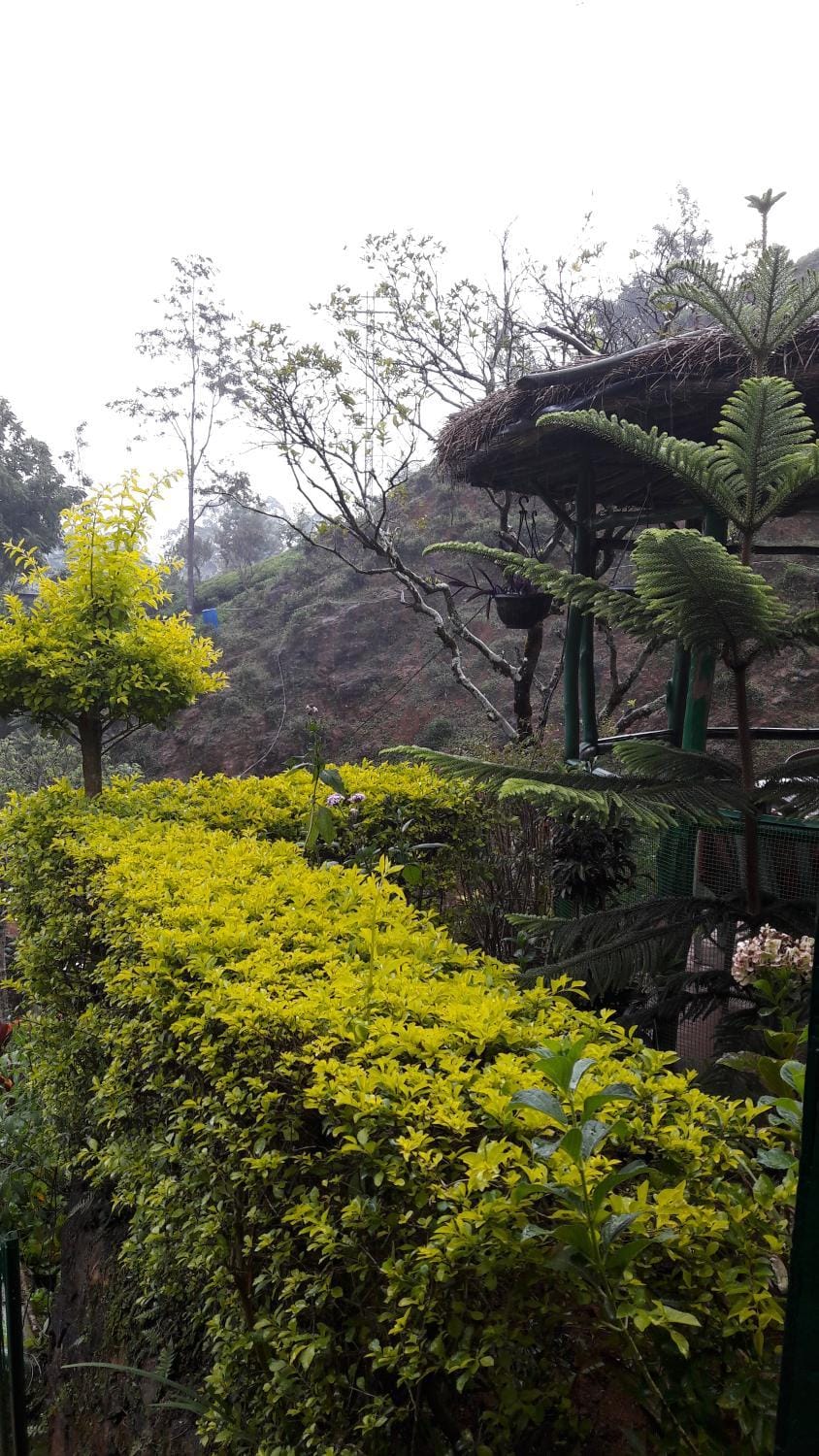 Natural landscape, Garden