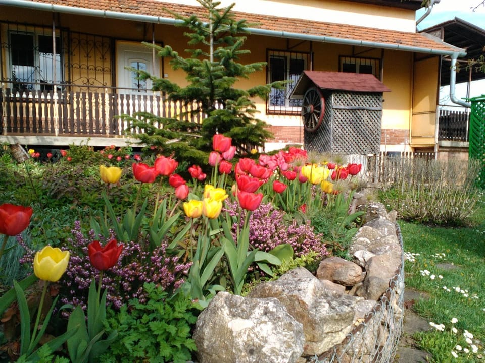 Facade/entrance, Spring