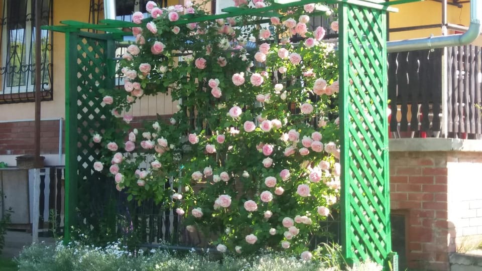 Neighbourhood