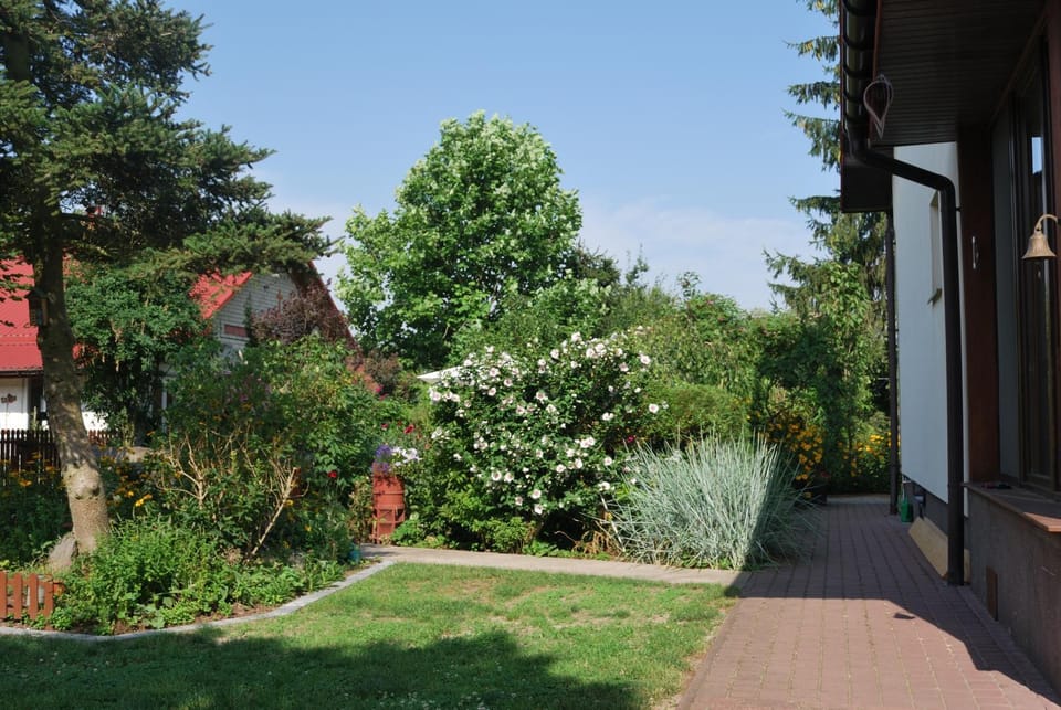 Day, Summer, Garden view