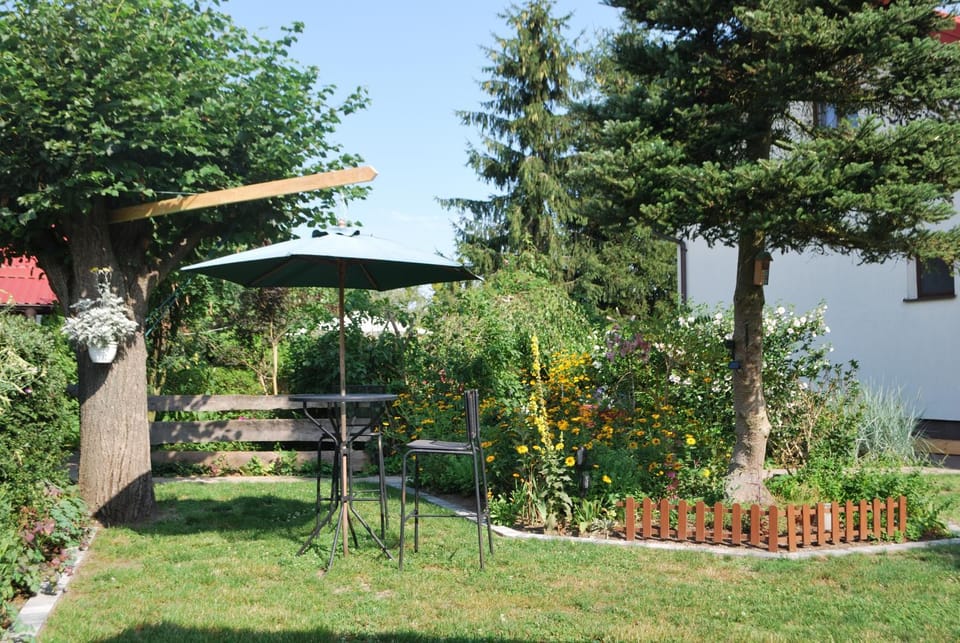 Day, Summer, Garden view