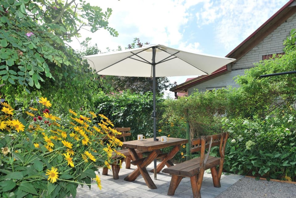 Day, Garden, Garden view