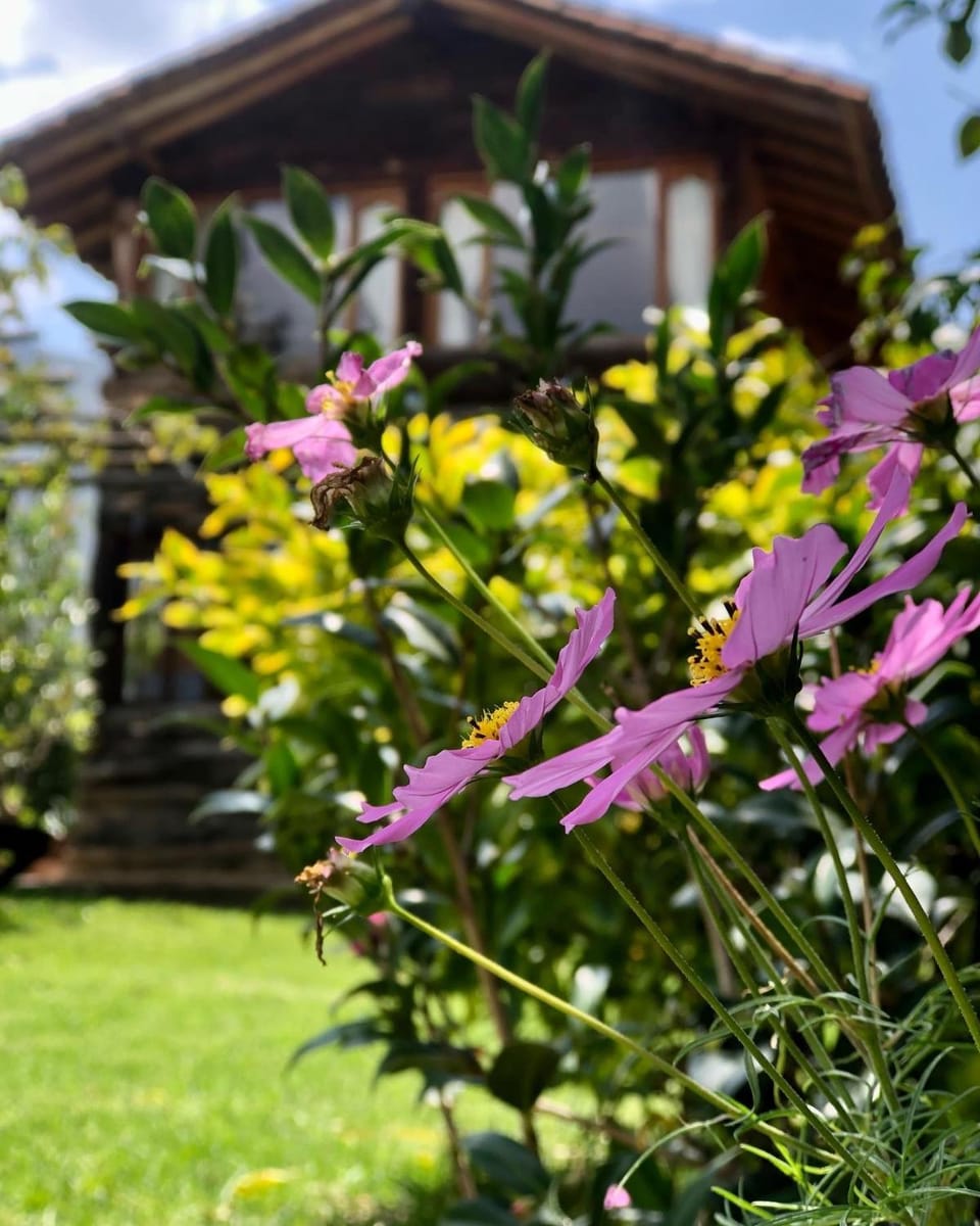 Property building, Spring, Day, Garden, Garden view