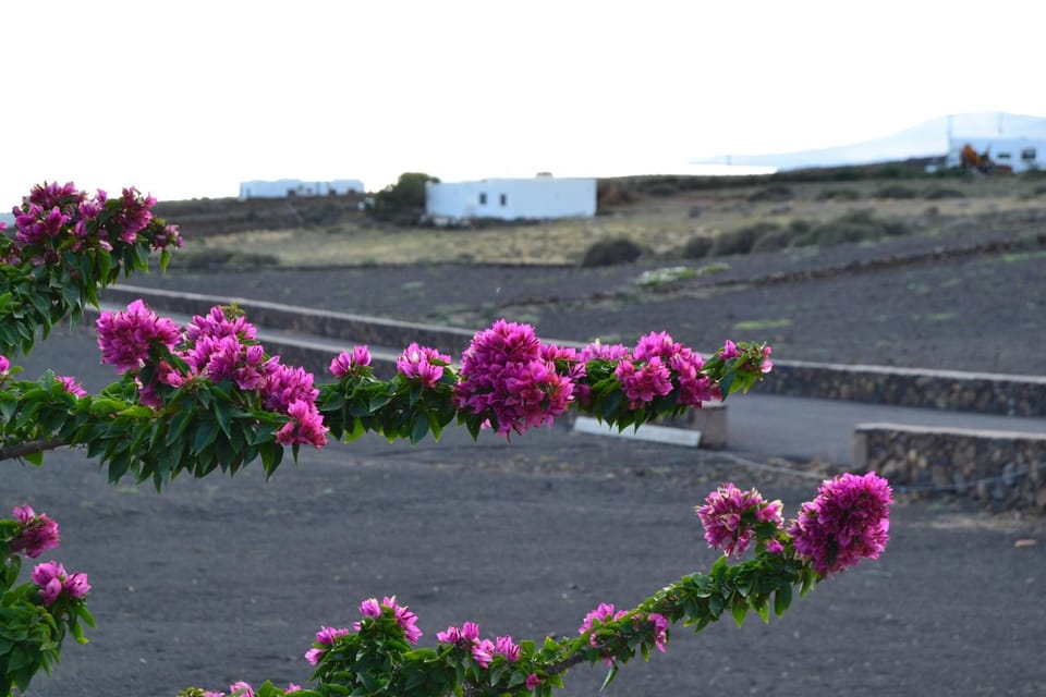 Natural landscape