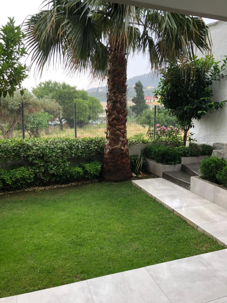 Day, Garden, Garden view