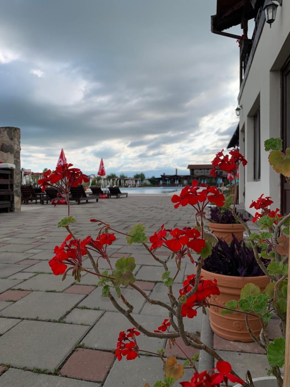 Aqua Club Elatis Bed and Breakfast in Romania