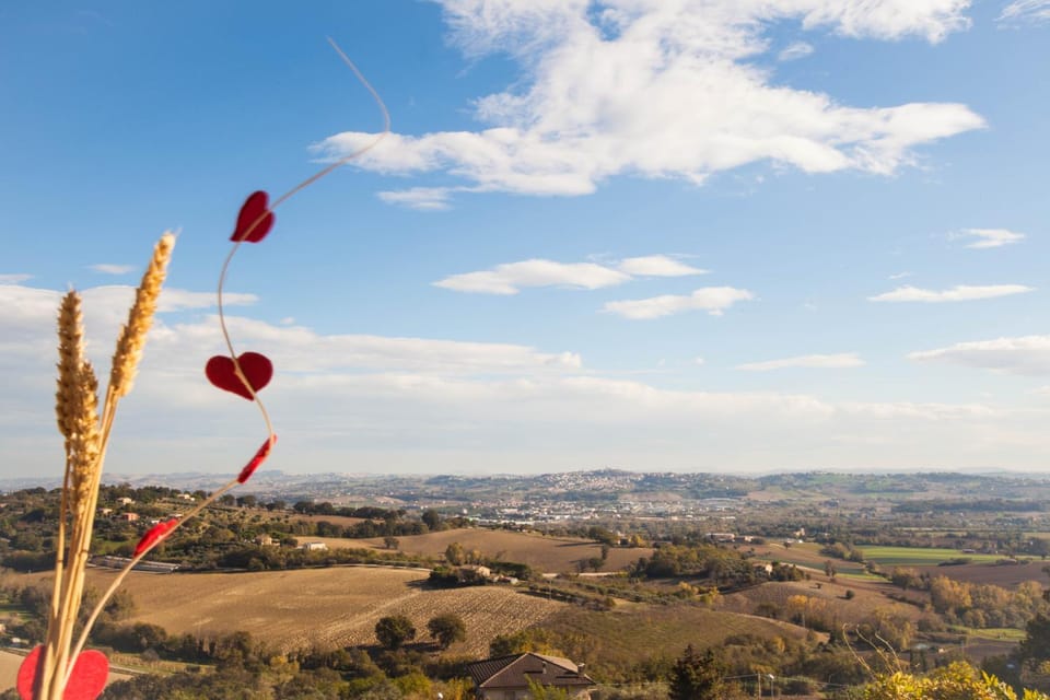 View (from property/room)