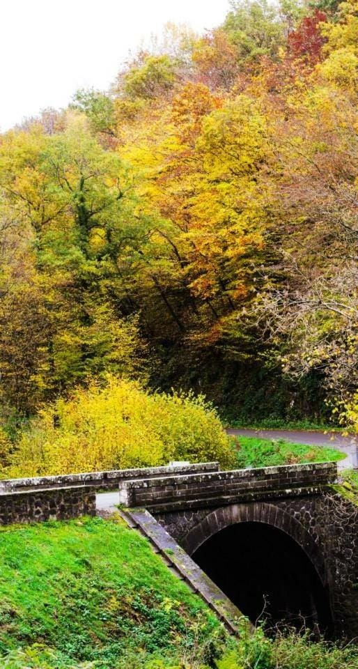 Off site, Autumn