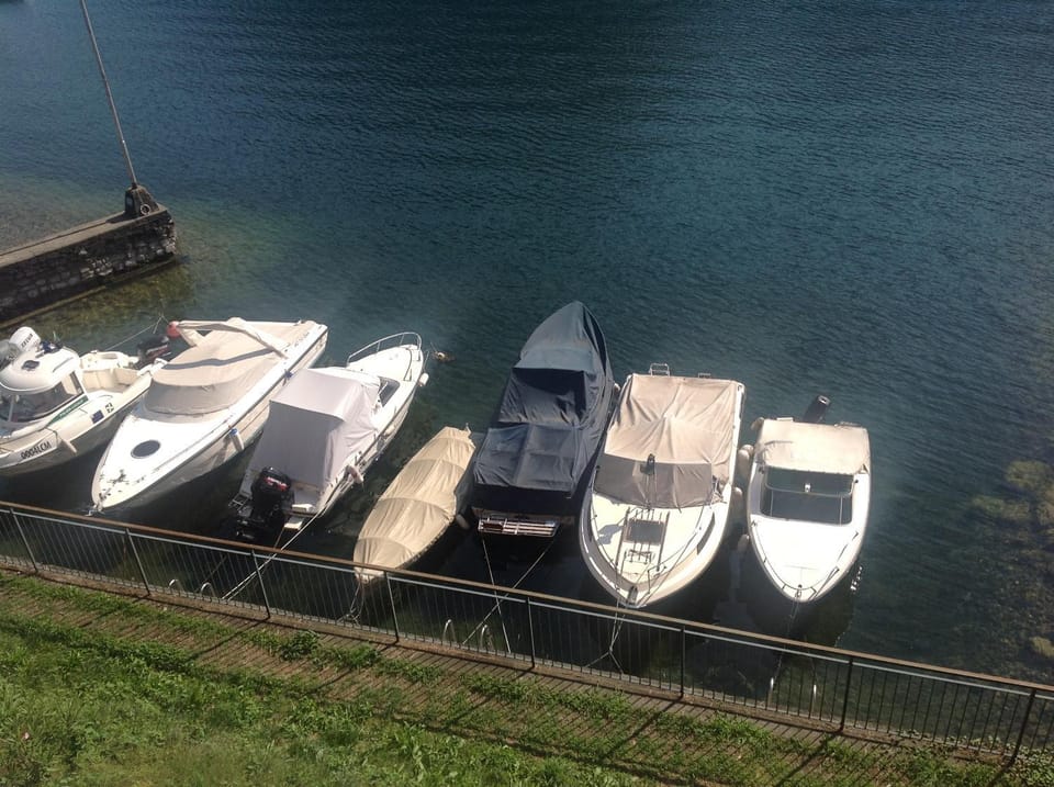 Lake view