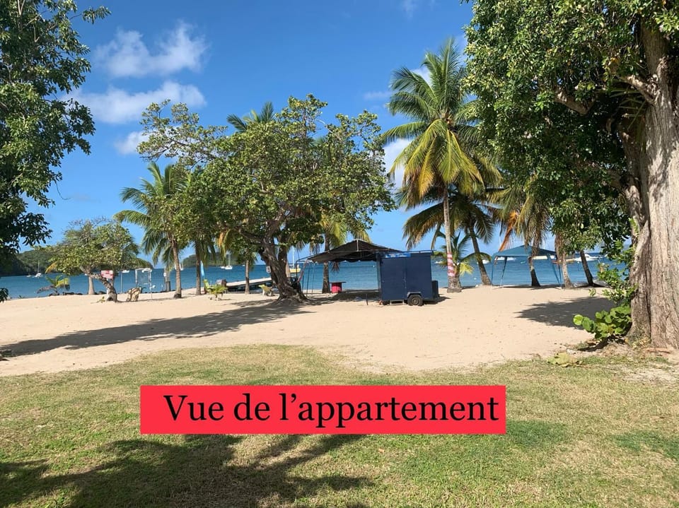 Les pieds dans l'eau Apartment in Les Trois-Îlets
