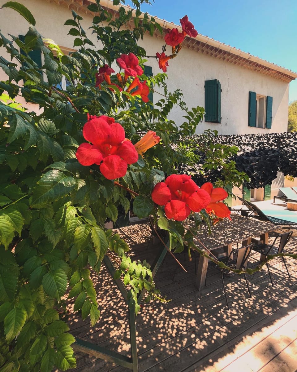 Villavos- Le Bocage - Ancienne bastide Au charme authentique - piscine et jardin privés - 12 pers - Cassis Villa in Cassis