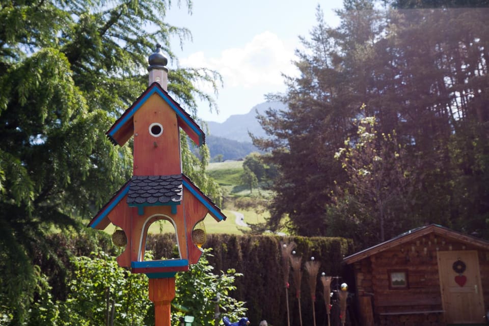 Natural landscape, Garden, Garden view, Mountain view