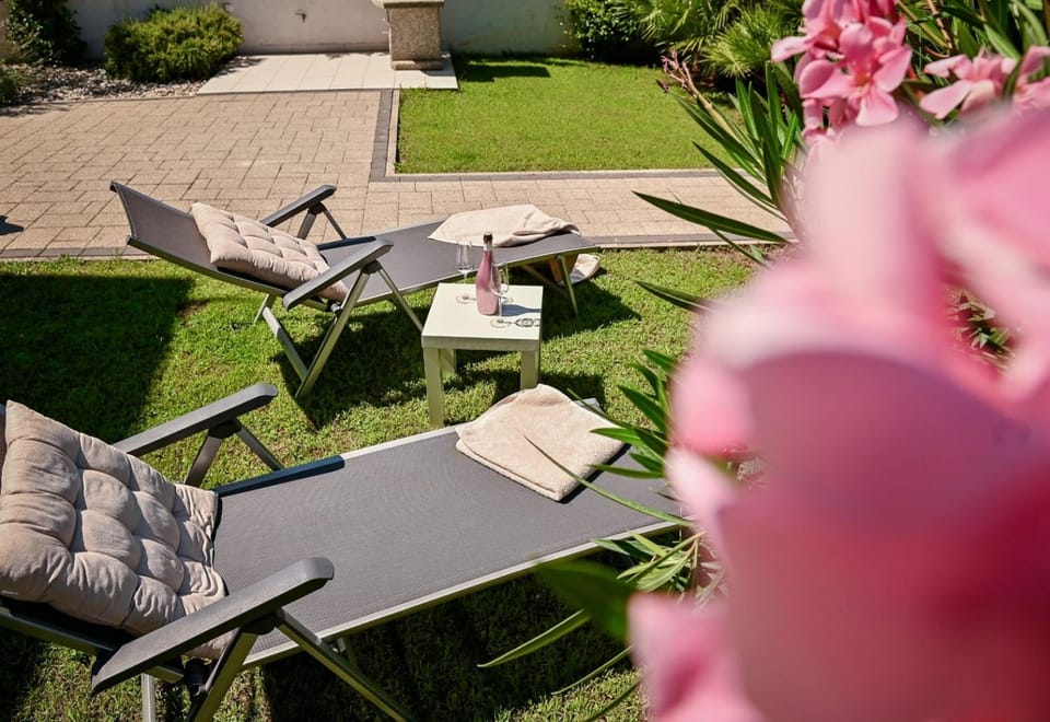 Garden, Garden view, sunbed