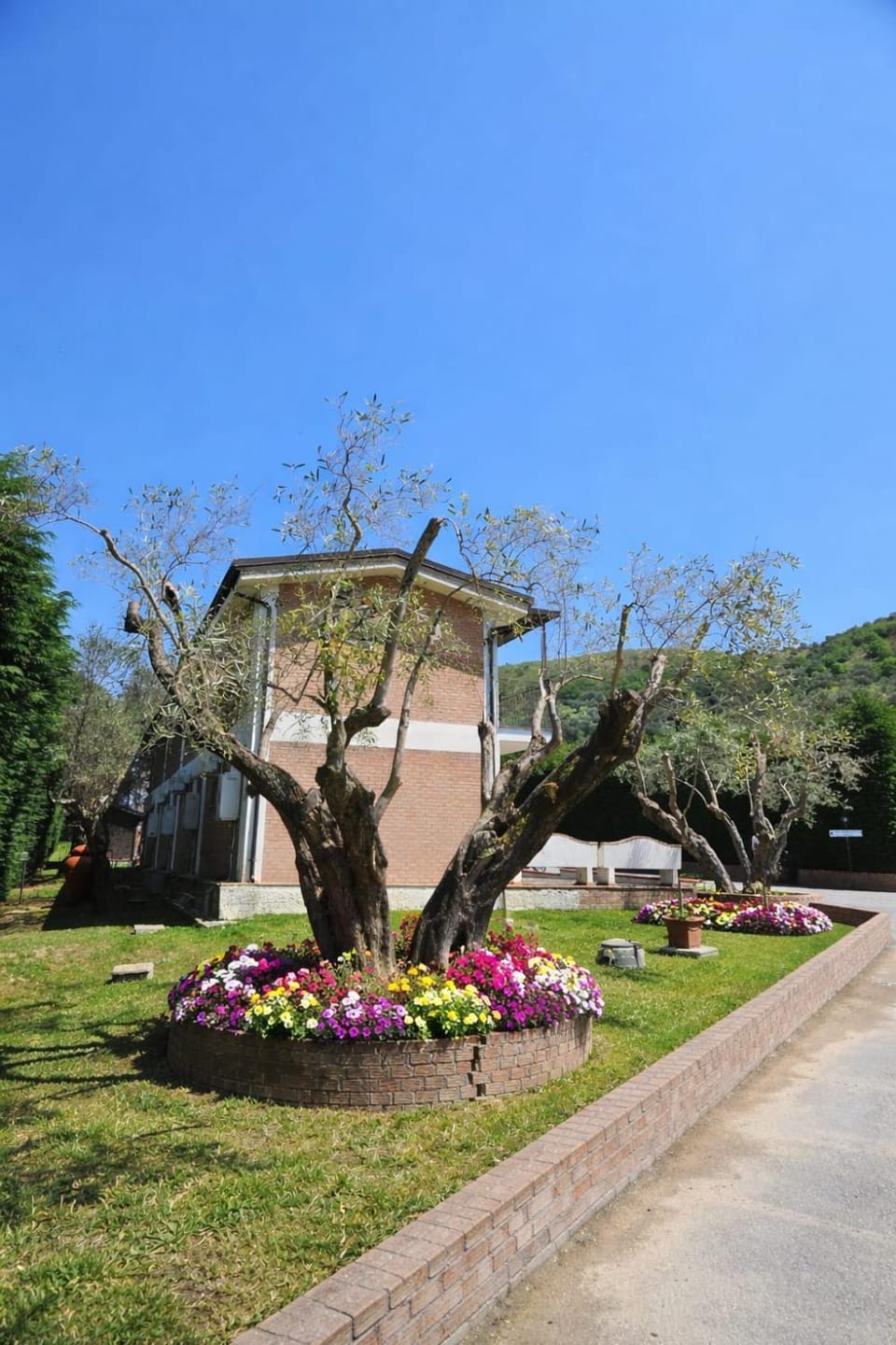 Natural landscape, Garden