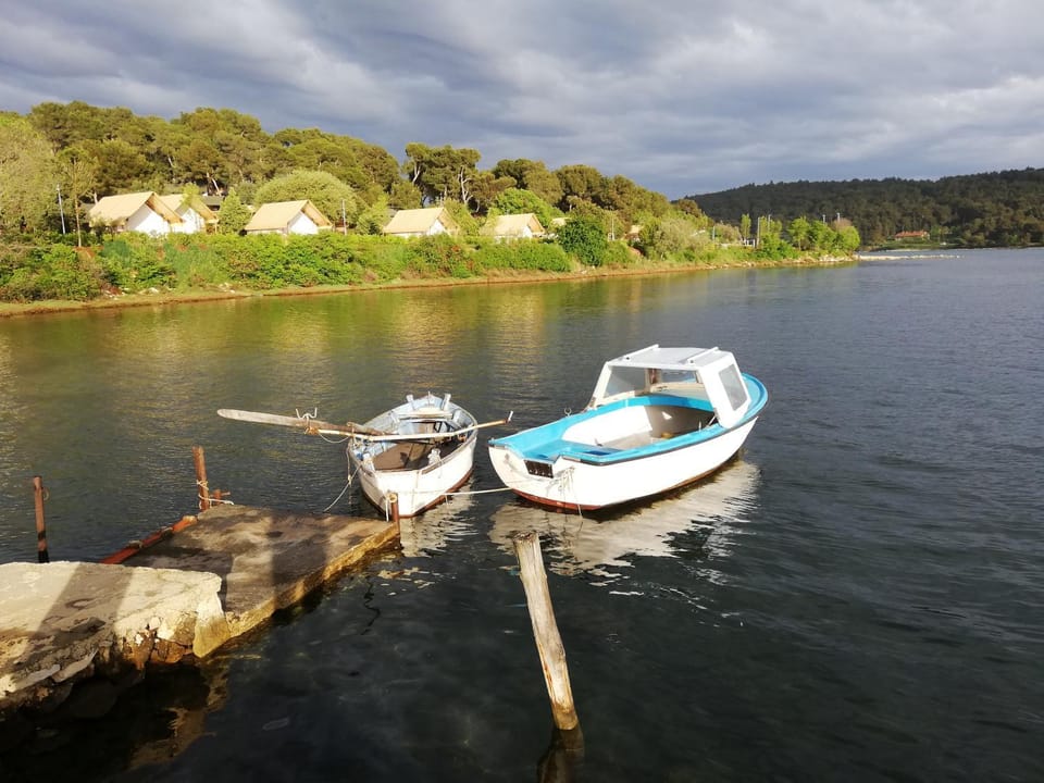 Apartment Sara Apartment in Banjole