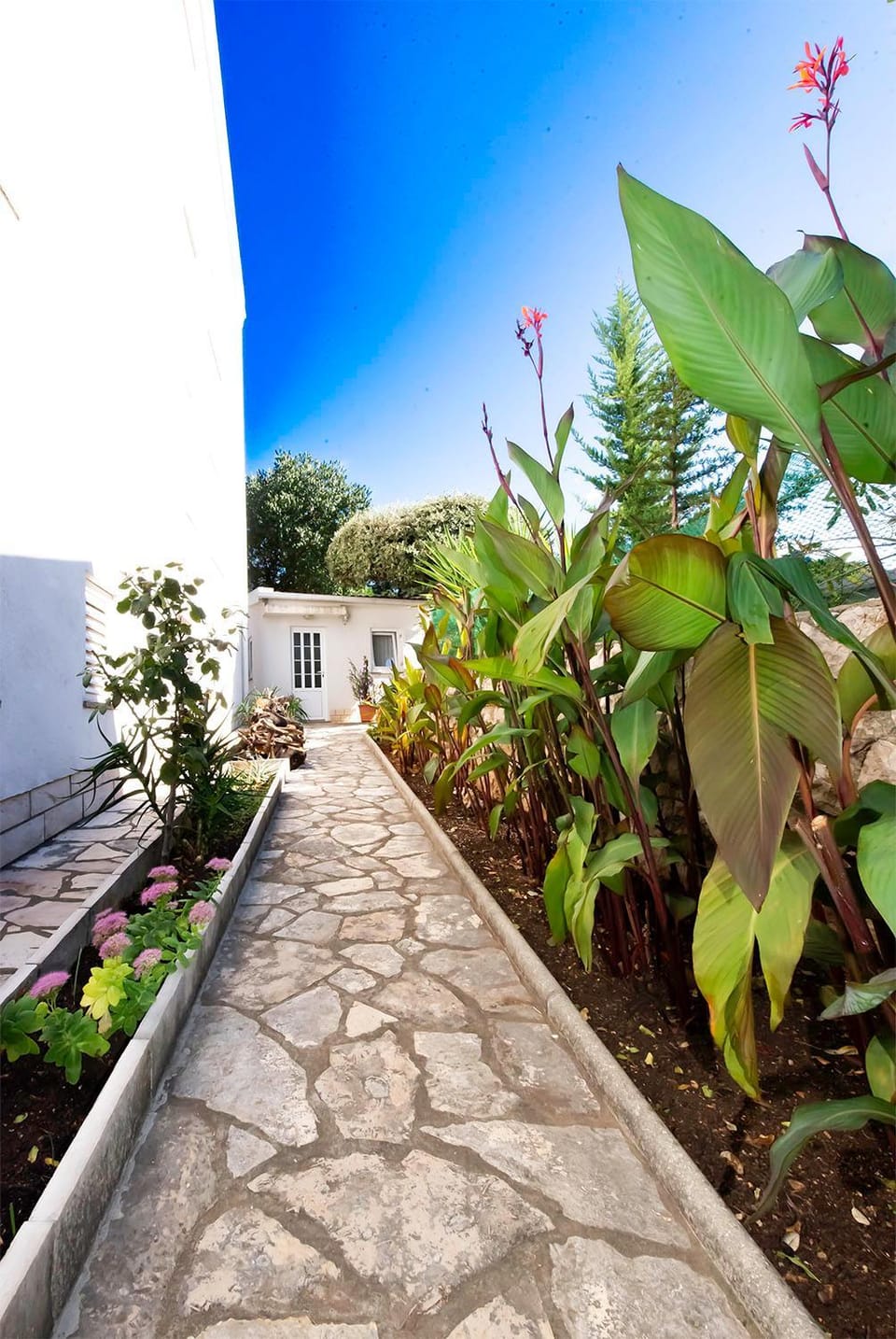 Day, Garden