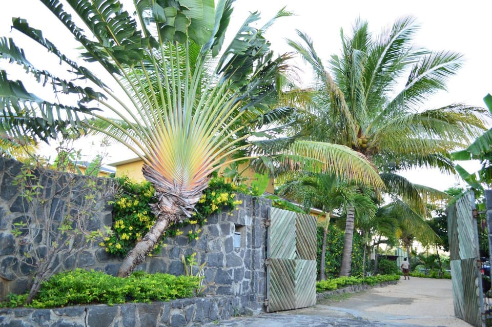 Facade/entrance, Garden