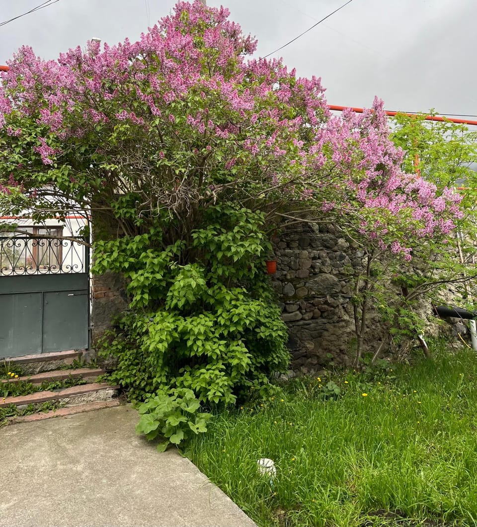 Soso Burduli's Guesthouse Bed and Breakfast in Georgia