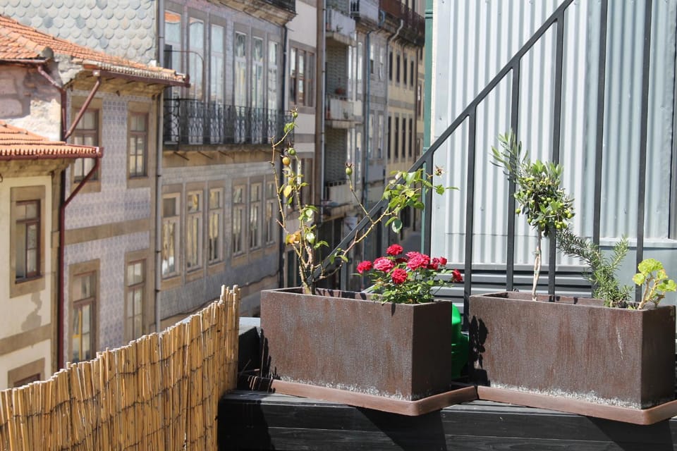 View (from property/room), Balcony/Terrace