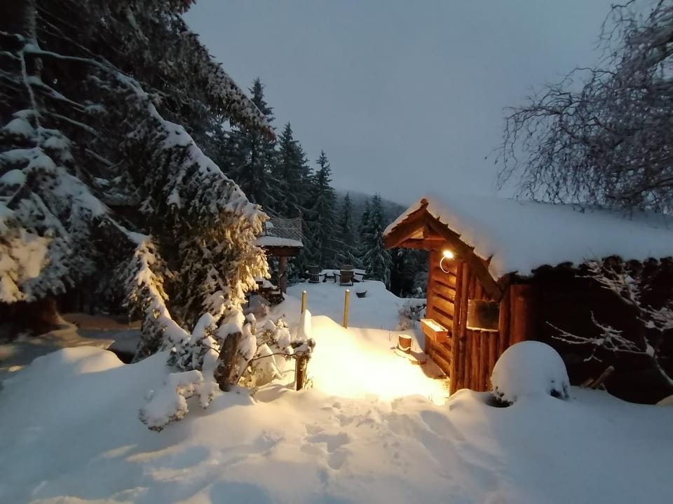 Garden, Garden, Skiing, Garden view, Garden view