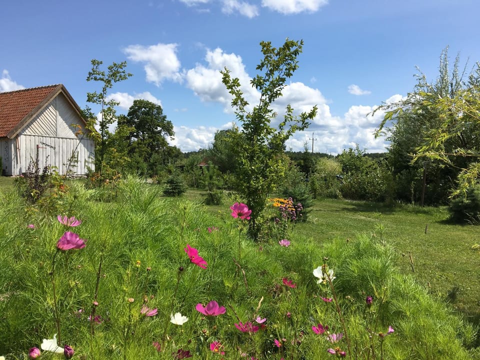 Garden, Garden