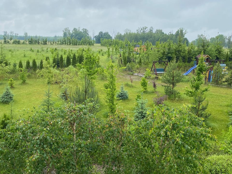 Garden, Garden view