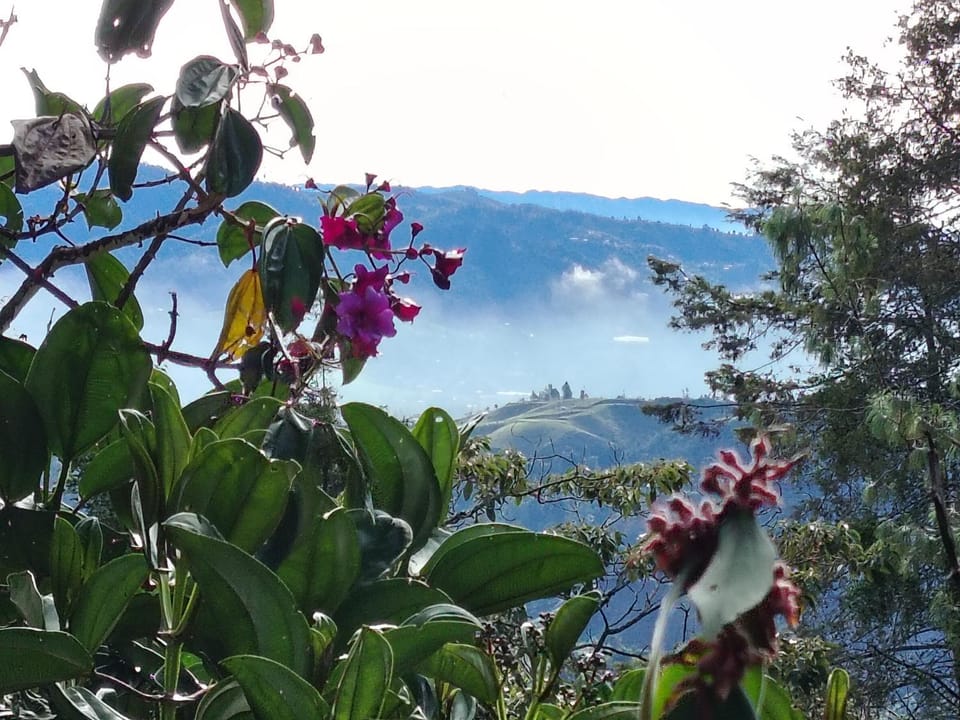 Mountain view