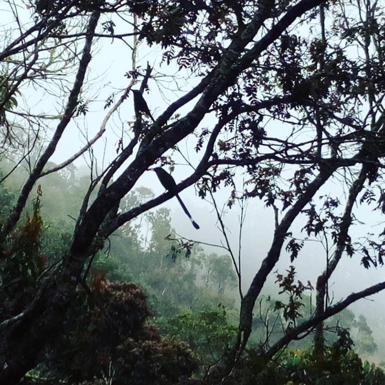 Natural landscape