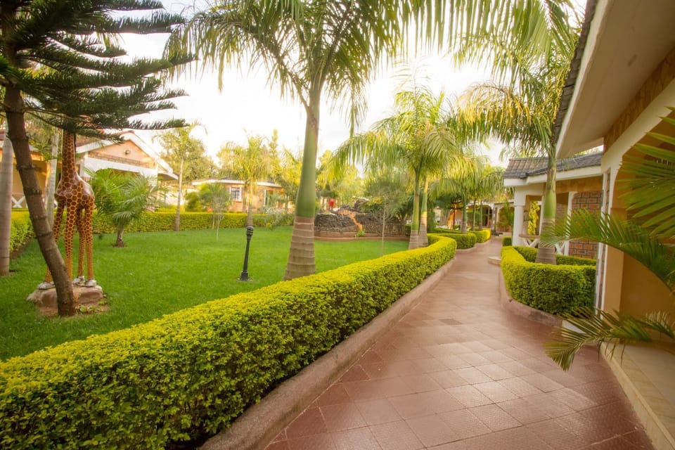 Day, Natural landscape, Garden, Garden view