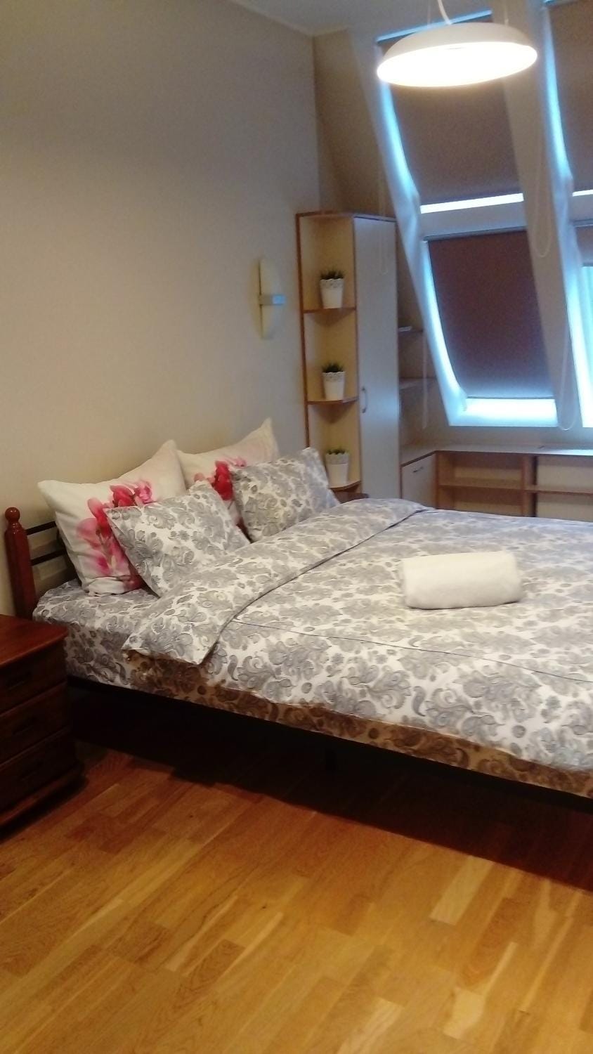 Kungu 25 OldTown & Free parking Apartment in Riga