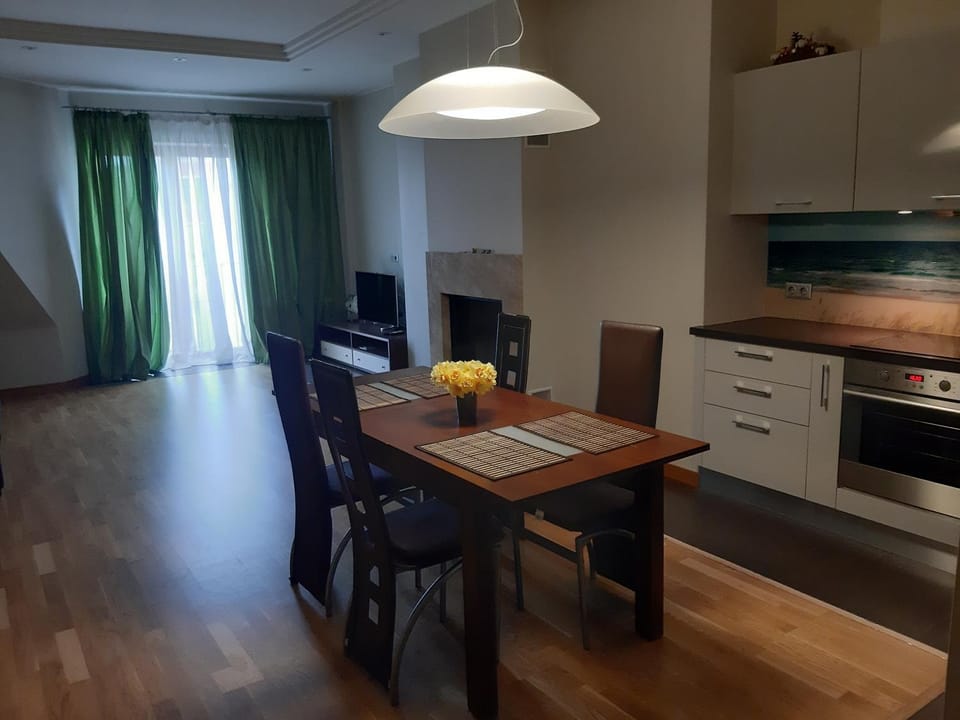 TV and multimedia, Kitchen or kitchenette, Dining area, minibar, oven, pet friendly, stove