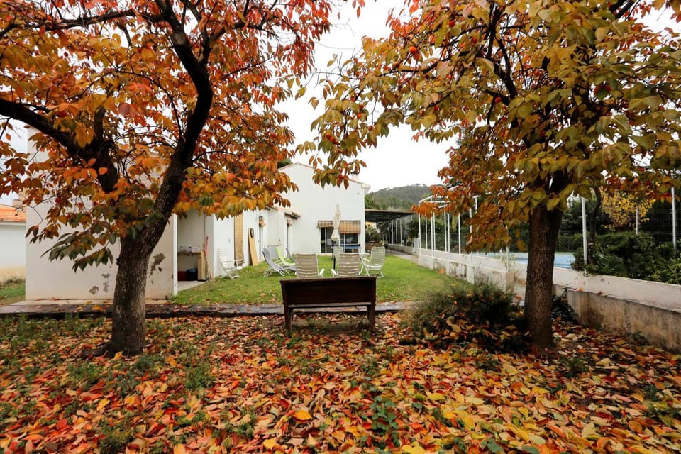 Garden, Autumn, On site, Garden view